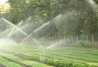 Ashmontlandscaping-water-management-and-drainage-17.jpg; ?>